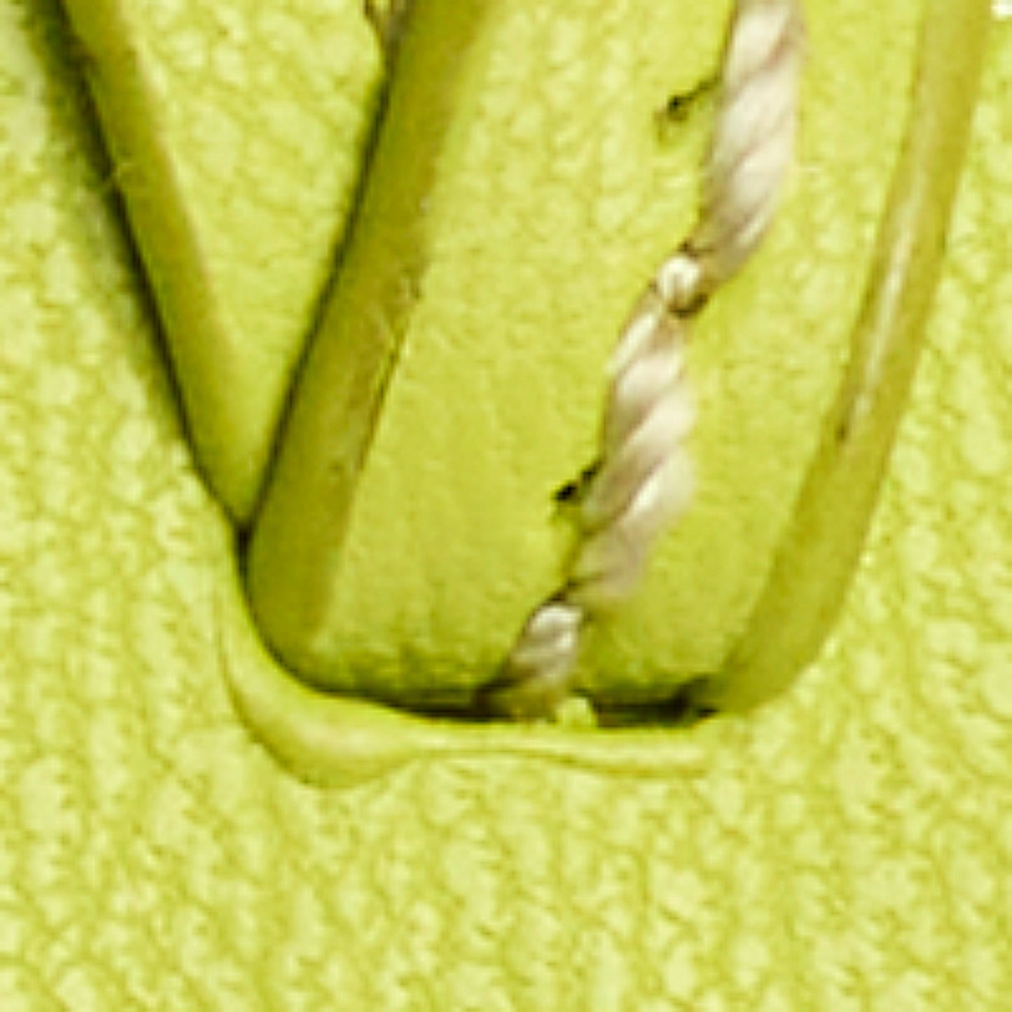 Horseshoe Bag Charm